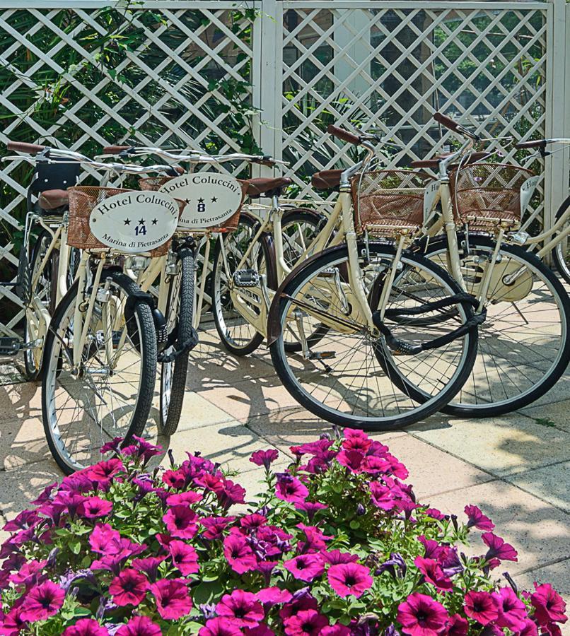 Hotel Coluccini 3*