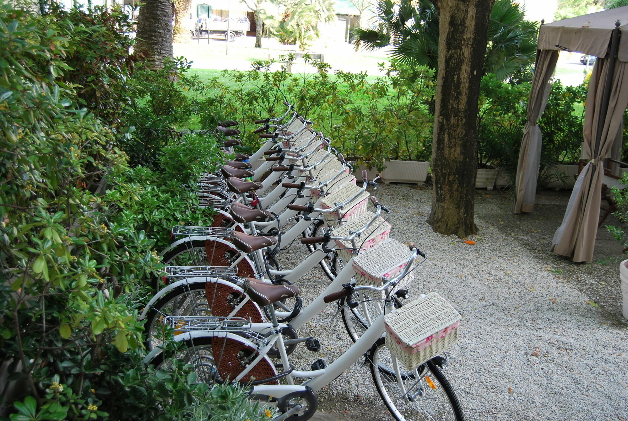 Coluccini Marina di Pietrasanta